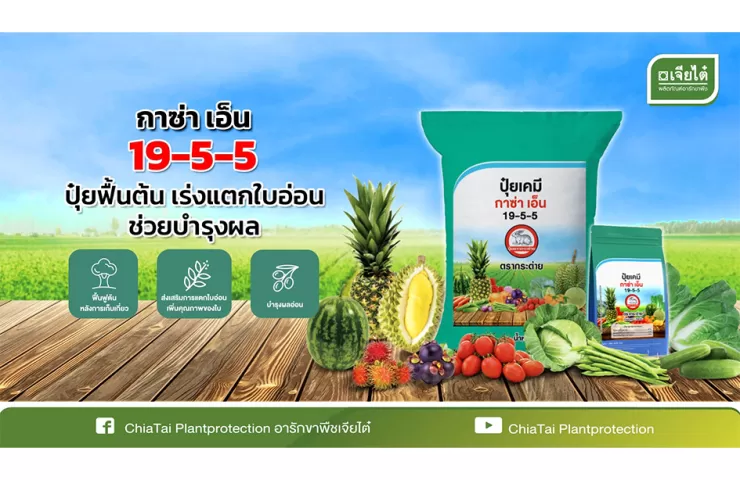 กาซ่า เอ็น 19-5-5 ปุ๋ยเกล็ดสูตรใหม่ ฟื้นต้นไว ใบแตกดี ช่วยบำรุงผล 